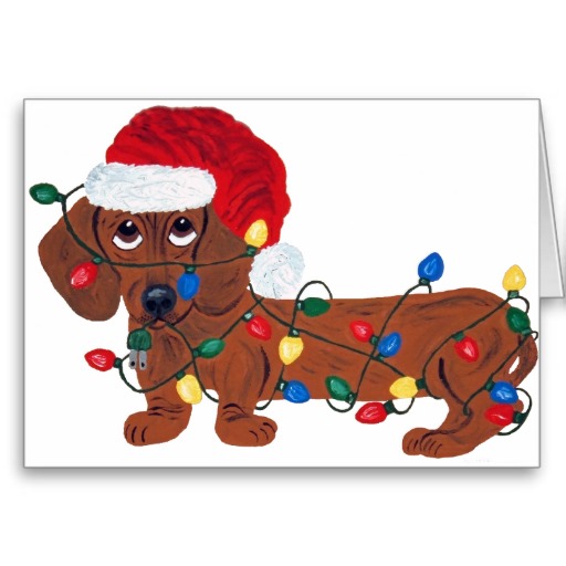 Dachshund Christmas Pictures Wallpapers